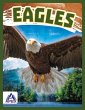 Eagles - Bild 1