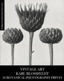Vintage Art Vintage Art