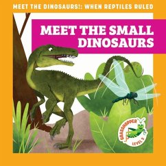 Meet the Small Dinosaurs - Donnelly, Rebecca