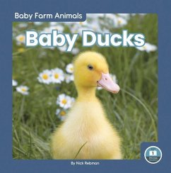 Baby Ducks - Rebman, Nick