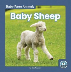 Baby Sheep - Rebman, Nick