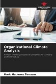 Organizational Climate Analysis