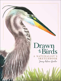 Drawn to Birds: A Naturalist's Sketchbook - deFouw Geuder, Jenny