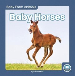 Baby Horses - Rebman, Nick