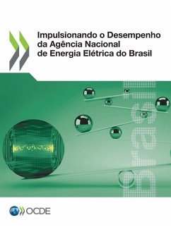 Cover Impulsionando o Desempenho da Agência Nacional de Energia Elétrica do Brasil