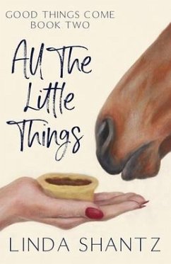 All The Little Things - Shantz, Linda