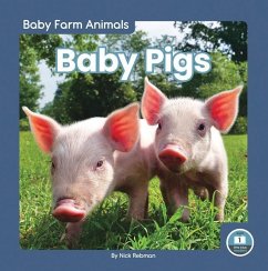 Baby Pigs - Rebman, Nick