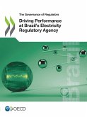 Driving Performance at Brazil's Electricity Regulatory Agency