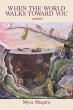 When the World Walks Toward You - Bild 1