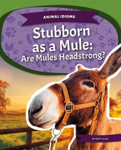 Stubborn as a Mule - Lilley, Matt