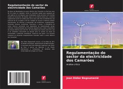 Regulamentação do sector da electricidade dos Camarões - Begoumenié, Jean Didier