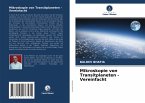 Mikroskopie von Transitplaneten - Vereinfacht