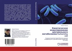 Kineticheskoe modelirowanie central'nogo metabolizma Escherichia coli - Peskow, Kirill