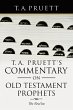 T. A. Pruett's Commentary on Old... - Bild 1