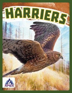 Harriers - Stratton, Connor