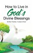 How to Live in God's Divine Blessings - Bild 1