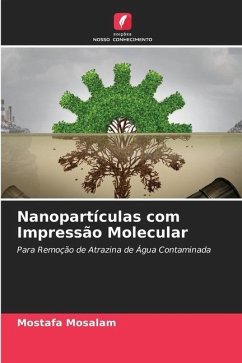 Nanopartículas com Impressão Molecular - Mosalam, Mostafa