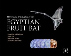 Stereotaxic Brain Atlas of the Egyptian Fruit Bat - Eilam-Altstadter, Raya; Las, Liora; Witter, Menno; Ulanovsky, Nachum