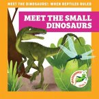 Meet the Small Dinosaurs