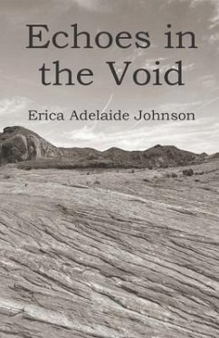 Echoes in the Void - Johnson, Erica Adelaide