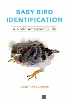 Baby Bird Identification - Tuttle-Adams, Linda