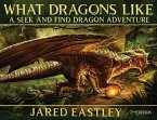 What Dragons Like: A Seek and Find Dragon Adventure