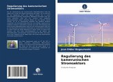 Regulierung des kamerunischen Stromsektors