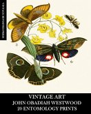 Vintage Art Vintage Art