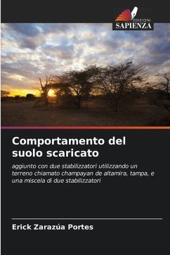 Comportamento del suolo scaricato - Zarazúa Portes, Erick