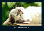 Für Katzenfreunde 2022 Fotokalender DIN A4