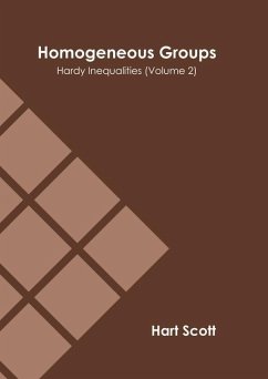 Homogeneous Groups: Hardy Inequalities (Volume 2)