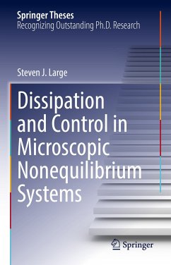 Dissipation and Control in Microscopic Nonequilibrium Systems (eBook, PDF) - Large, Steven J.