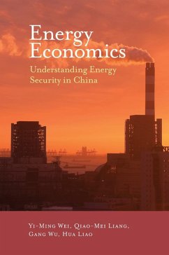 Energy Economics (eBook, ePUB) - Wei, Yi-Ming
