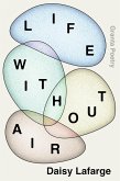 Life Without Air (eBook, ePUB)