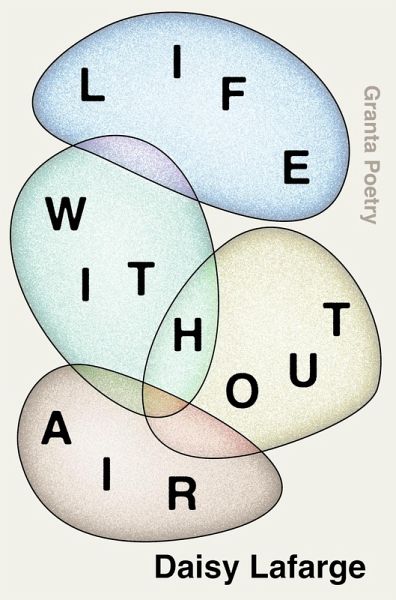 Life Without Air (eBook, ePUB)