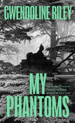 Cover My Phantoms (eBook, ePUB)