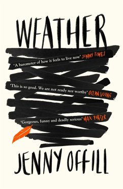 Cover Weather (eBook, ePUB)