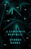 Luminous Republic (eBook, ePUB)