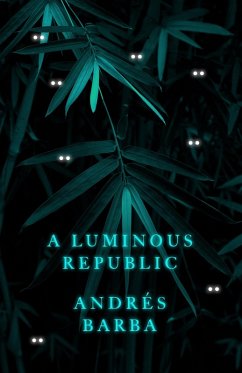 Luminous Republic (eBook, ePUB) - Barba, Andres