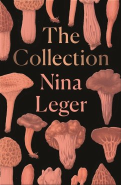 Collection (eBook, ePUB) - Leger, Nina
