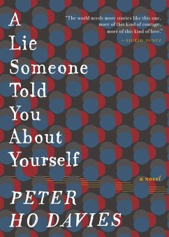 Lie Someone Told You About Yourself (eBook, ePUB) - Davies, Peter Ho