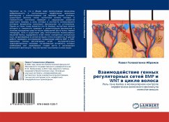 Vzaimodejstwie gennyh regulqtornyh setej BMP i WNT w cikle wolosa - Golowatenko-Abramow, Pawel