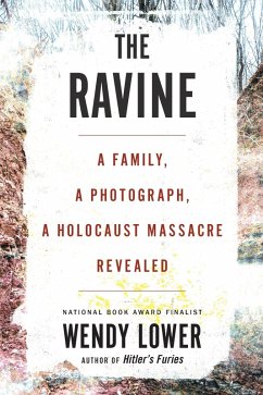 Ravine (eBook, ePUB) - Lower, Wendy