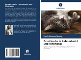 Brustkrebs in Lubumbashi und Kinshasa: