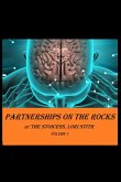 Partnerships on the Rocks (eBook, ePUB)