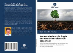 Neuronale Morphologie der Großhirnrinde von Eidechsen - Maurya, Ram Chandra