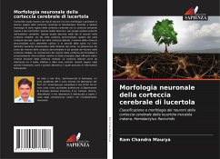 Cover Morfologia neuronale della corteccia cerebrale di lucertola