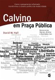 Calvino em praça pública (eBook, ePUB)