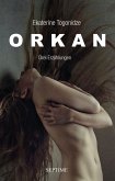 Orkan (eBook, ePUB)