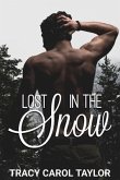 Lost in the Snow (eBook, ePUB)